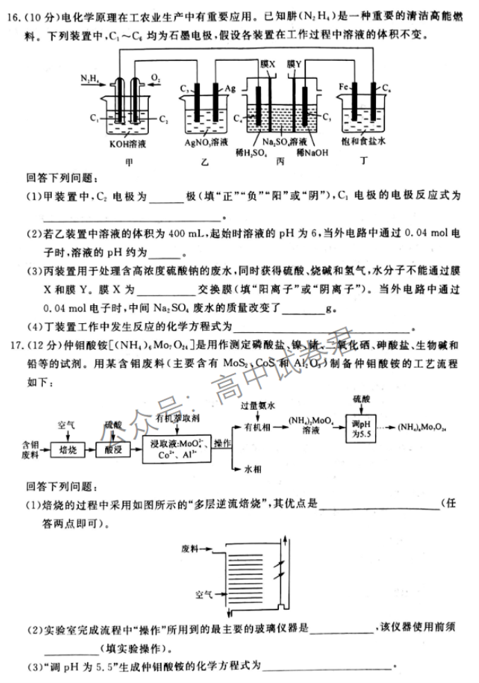 河南省金科新未来2024高三11月联考化学试题及答案解析