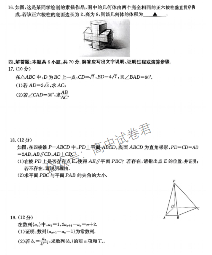 广东金太阳2024高三11月大联考(142C)数学试题及答案解析