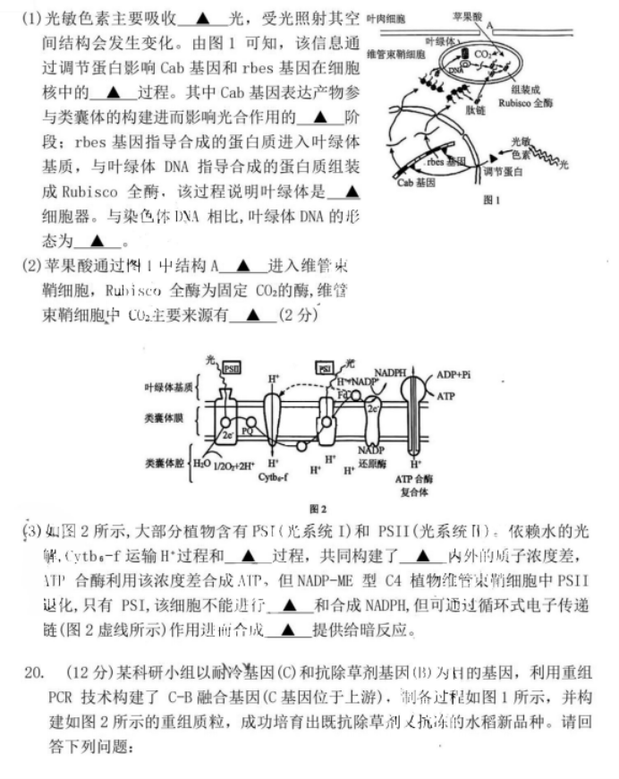 江苏省镇江市2024高三11月期中考试生物试题及答案解析