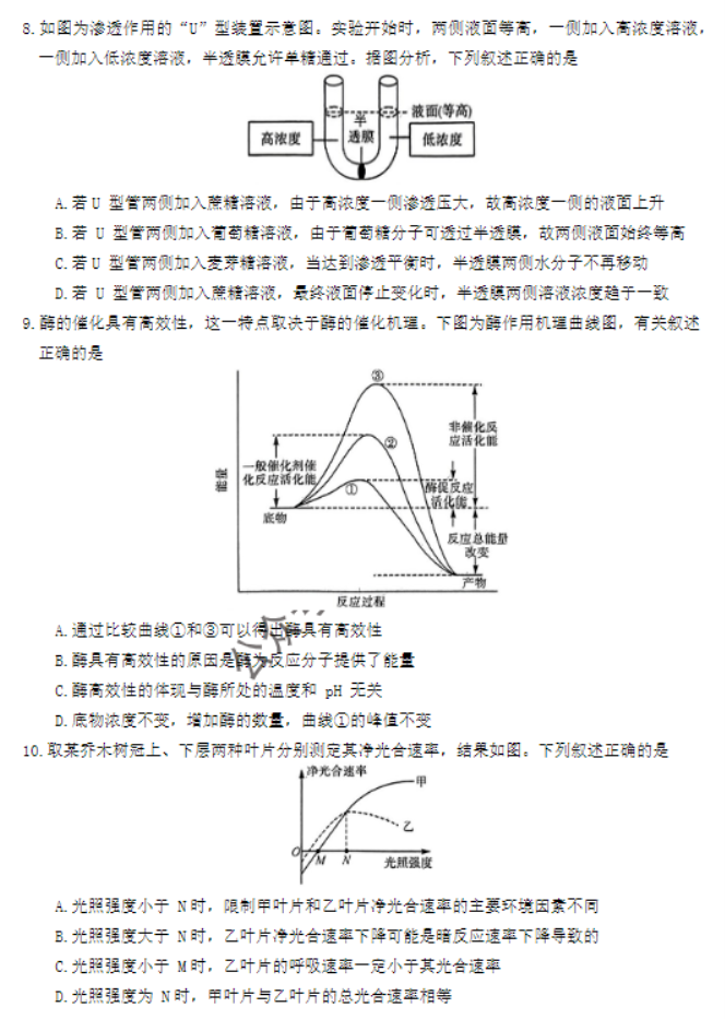 河南省金科新未来2024高三11月联考生物试题及答案解析