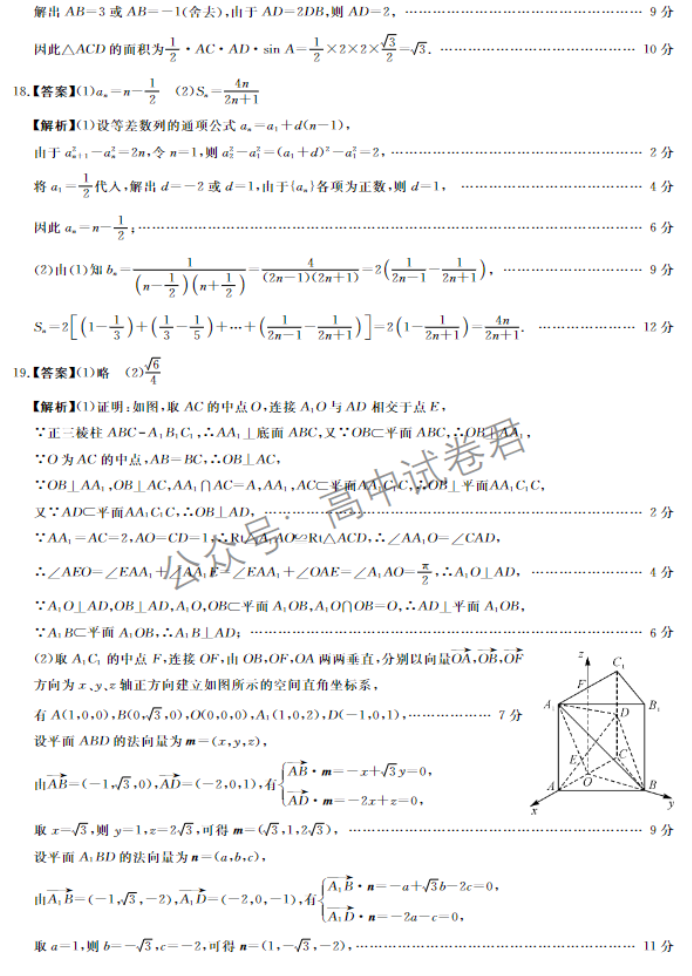 河南省金科新未来2024高三11月联考数学试题及答案解析