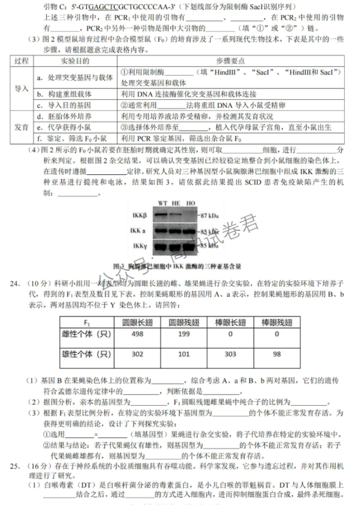 浙江省9+1高中联盟2024高三期中联考生物试题及答案解析