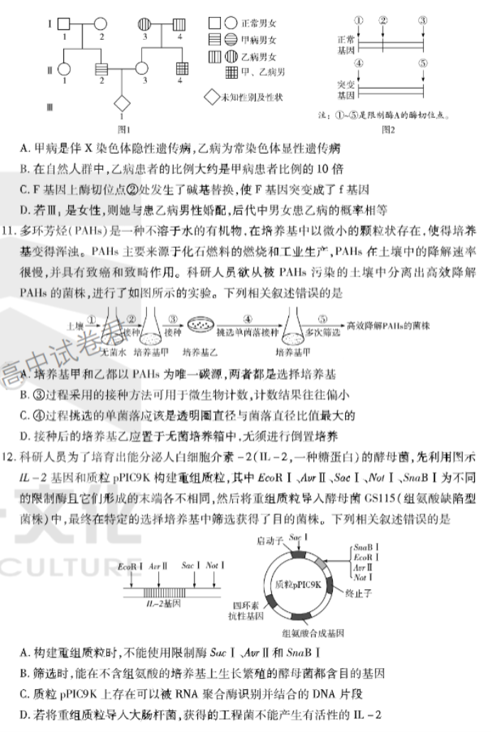 安徽卓越县中联盟2024高三11月期中考生物试题及答案解析