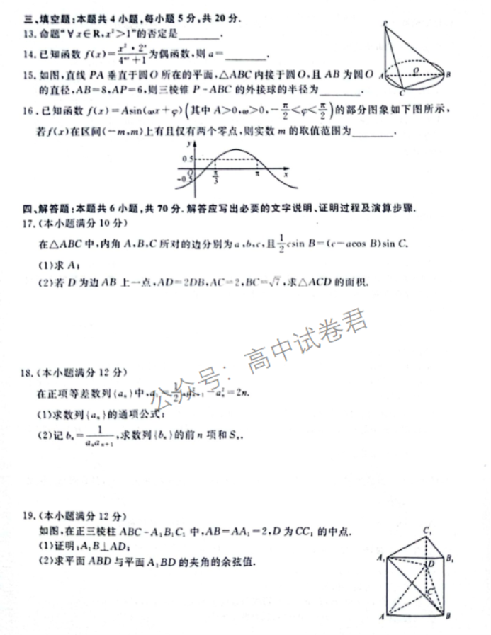 河南省金科新未来2024高三11月联考数学试题及答案解析