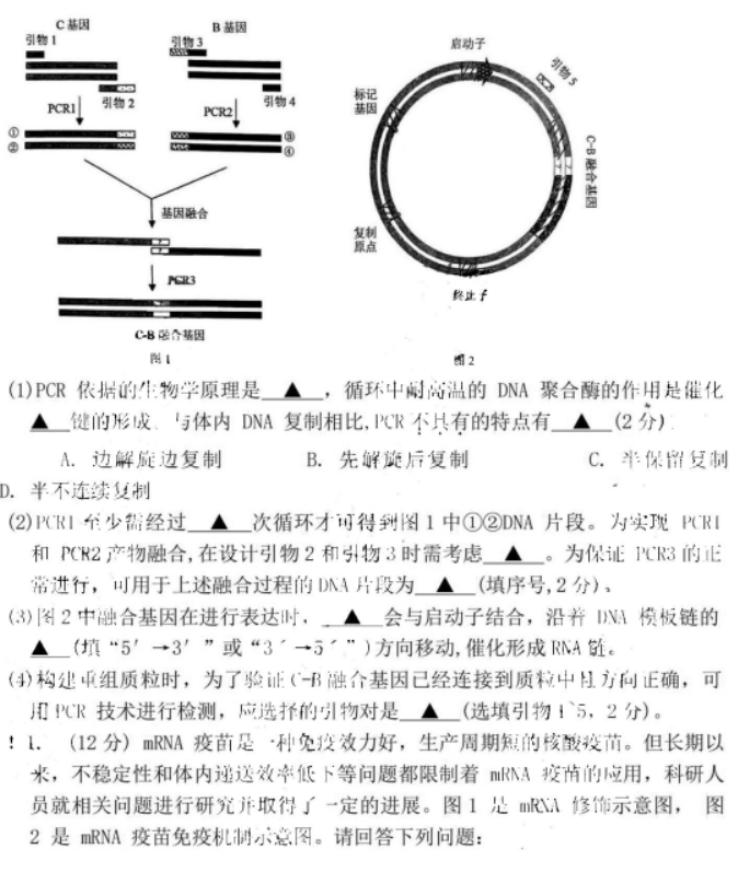 江苏省镇江市2024高三11月期中考试生物试题及答案解析