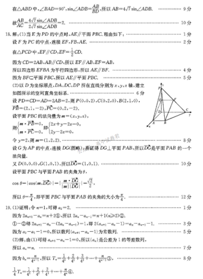 广东金太阳2024高三11月大联考(142C)数学试题及答案解析