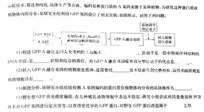 华大新高***2024高三11月测评生物试题及答案(新高考)