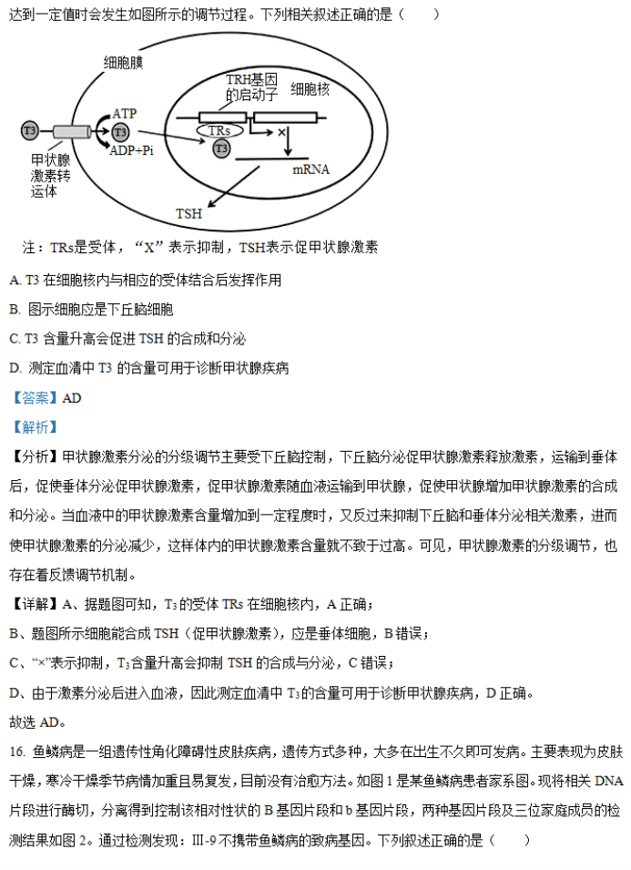 湖南省邵阳武冈市2024高三11月期中考生物试题及答案解析