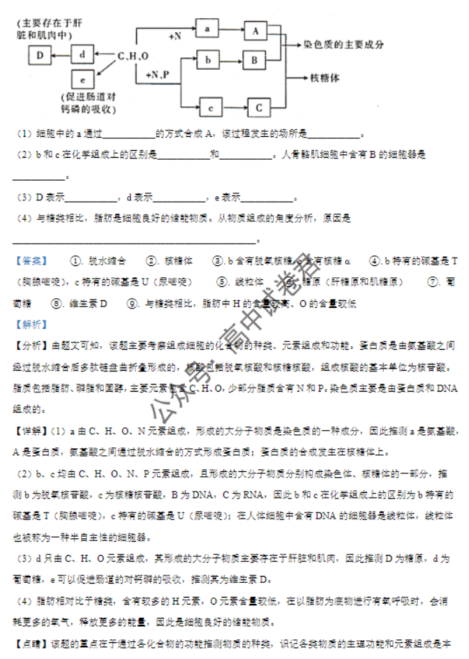 福建莆田五校联盟2024高三11月期中考生物试题及答案解析