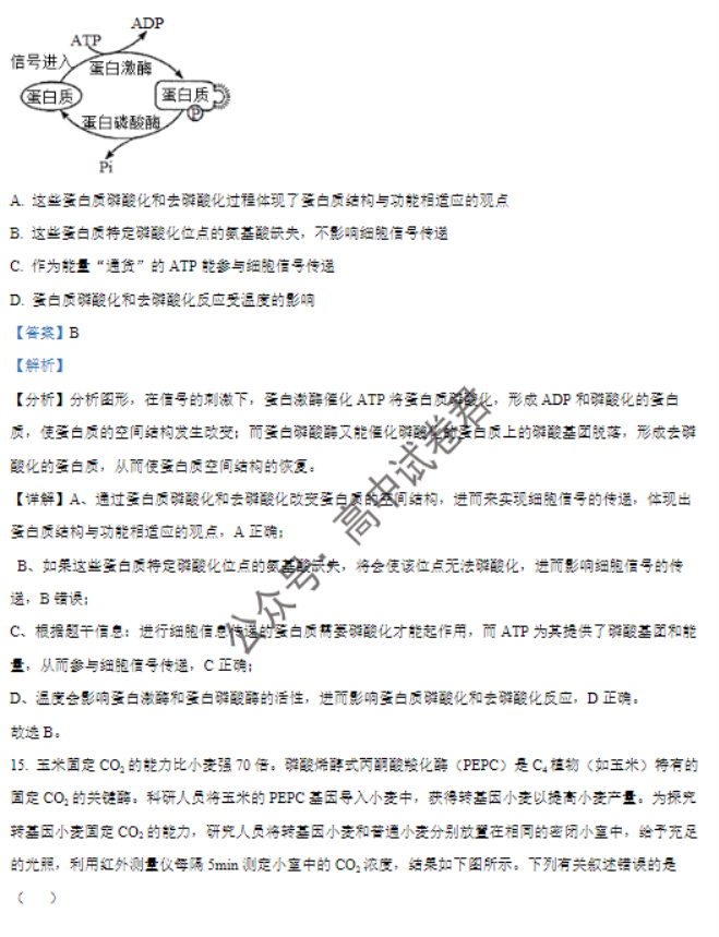 福建莆田五校联盟2024高三11月期中考生物试题及答案解析