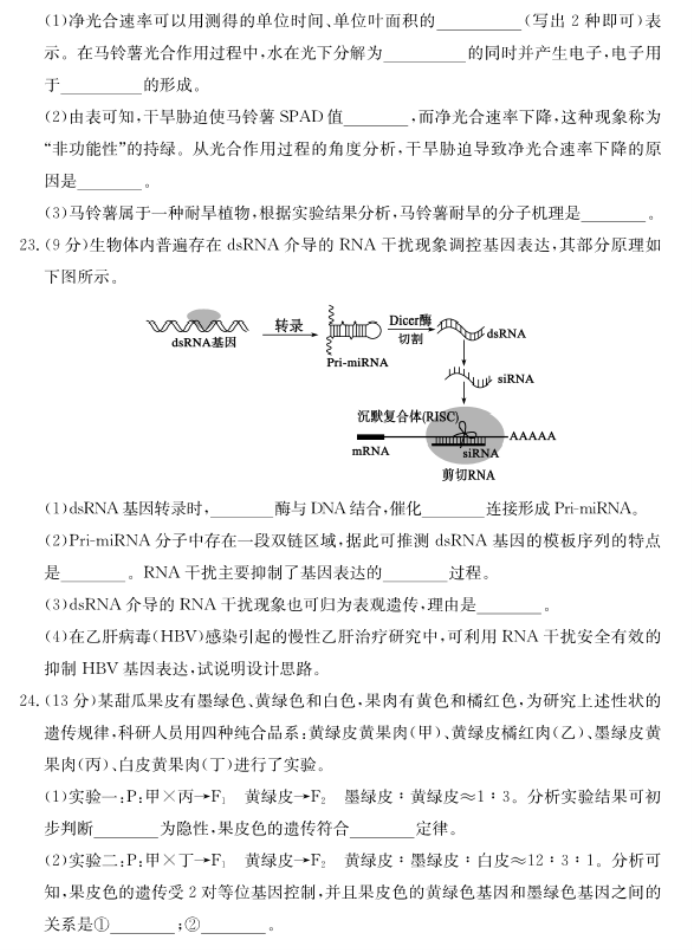 山东德州优高联考2024高三11月期中考生物试题及答案解析