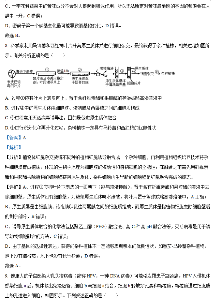 湖南省邵阳武冈市2024高三11月期中考生物试题及答案解析