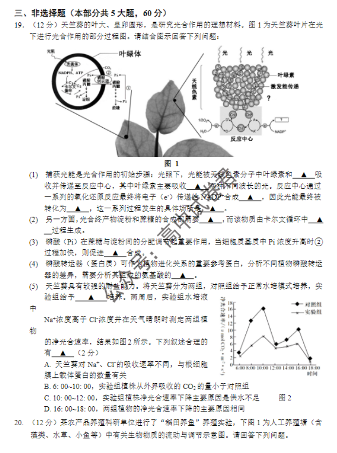 江苏南京市六校2024高三期中联合调研生物试题及答案解析