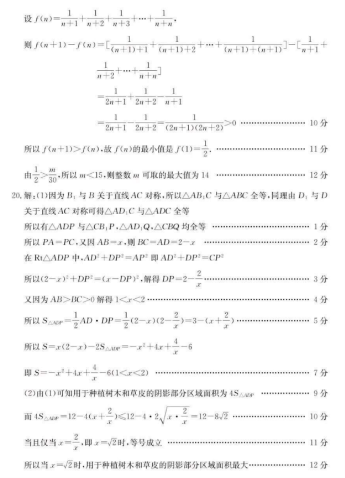 山东德州优高联考2024高三11月期中考数学试题及答案解析