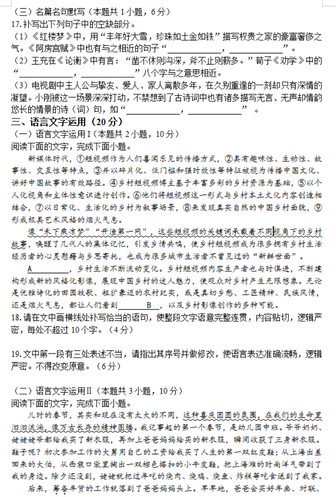 湖南省邵阳武冈市2024高三11月期中考语文试题及答案解析