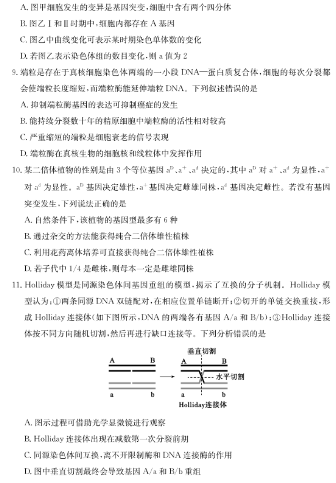 山东德州优高联考2024高三11月期中考生物试题及答案解析