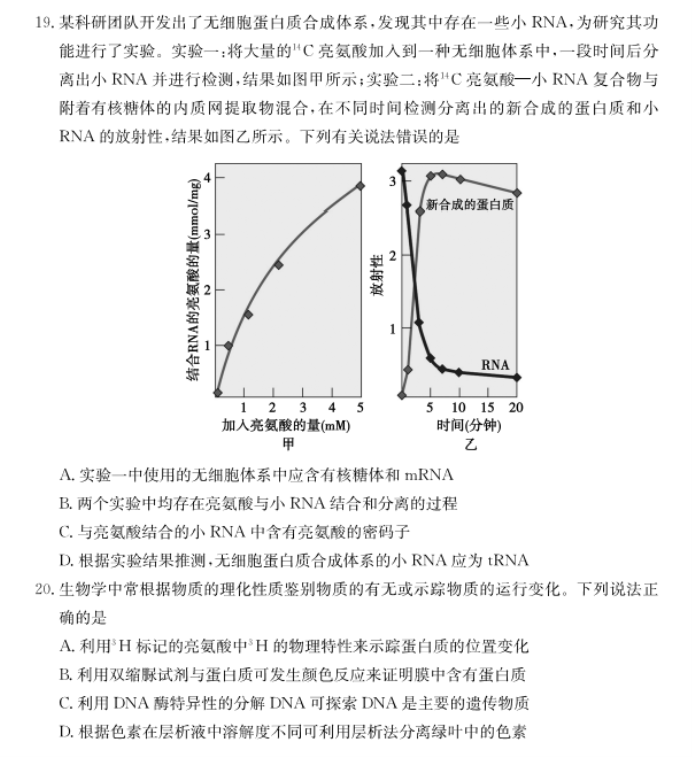 山东德州优高联考2024高三11月期中考生物试题及答案解析