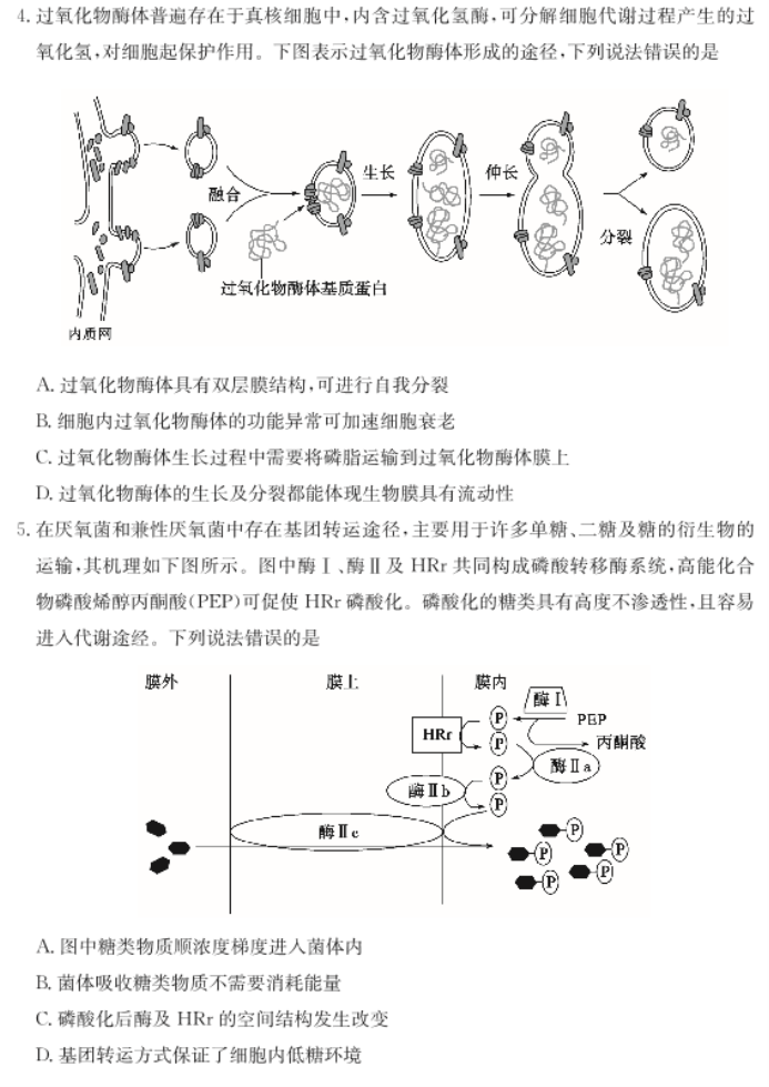 山东德州优高联考2024高三11月期中考生物试题及答案解析