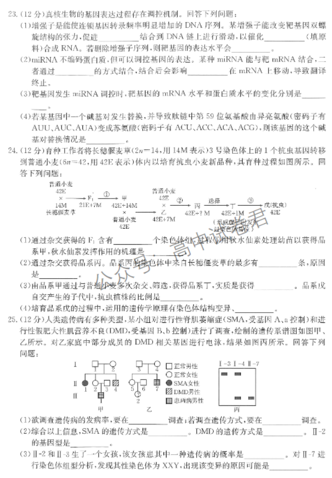 陕西商洛五校金太阳2024高三11月联考生物试题及答案解析