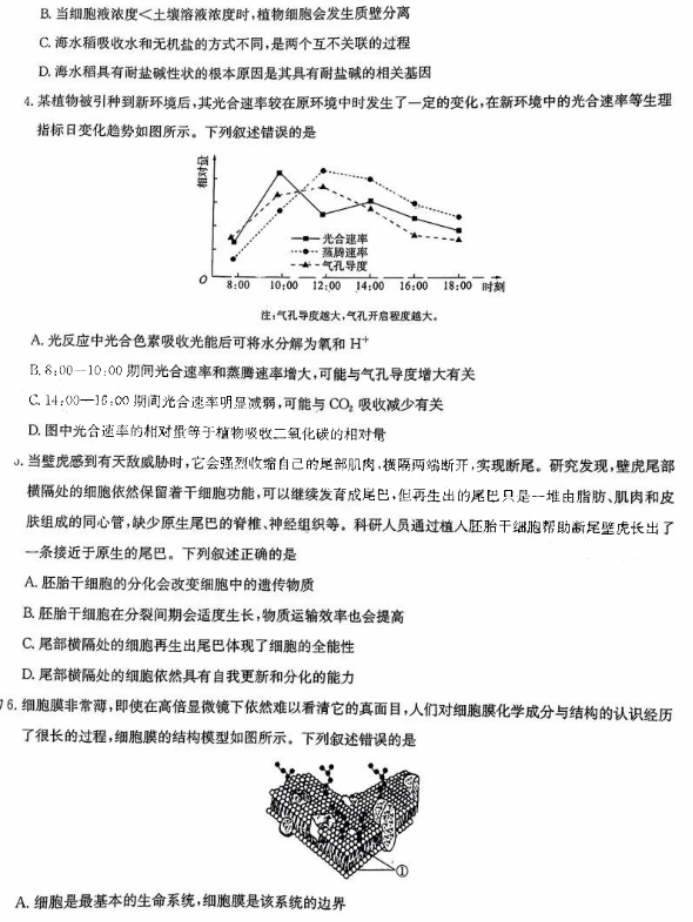 华大新高***2024高三11月测评生物试题及答案(新高考)