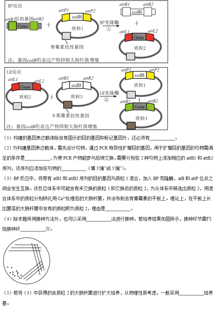 湖南省邵阳武冈市2024高三11月期中考生物试题及答案解析