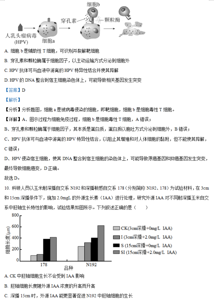 湖南省邵阳武冈市2024高三11月期中考生物试题及答案解析