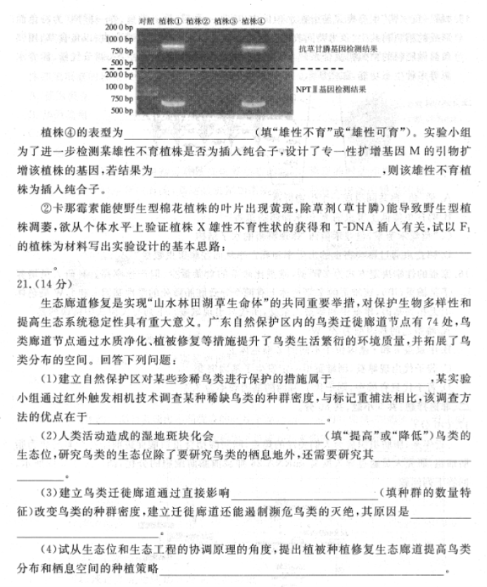 广东衡水金卷2024高三年级11月大联考生物试题及答案解析