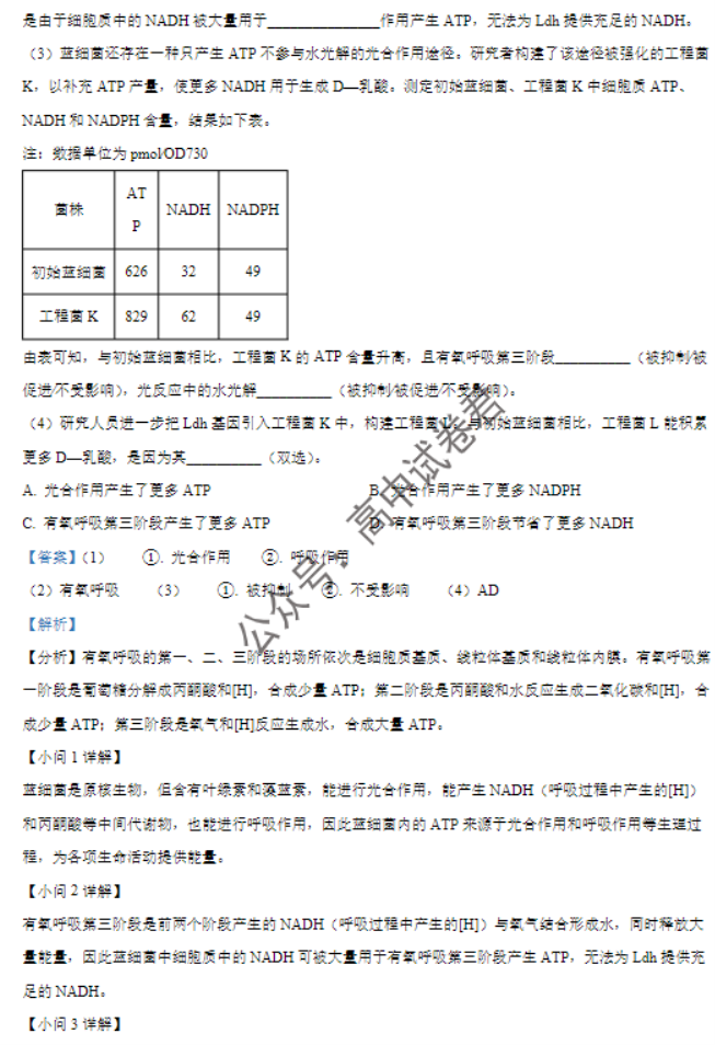 福建莆田五校联盟2024高三11月期中考生物试题及答案解析