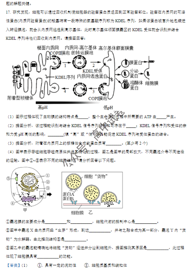 福建莆田五校联盟2024高三11月期中考生物试题及答案解析