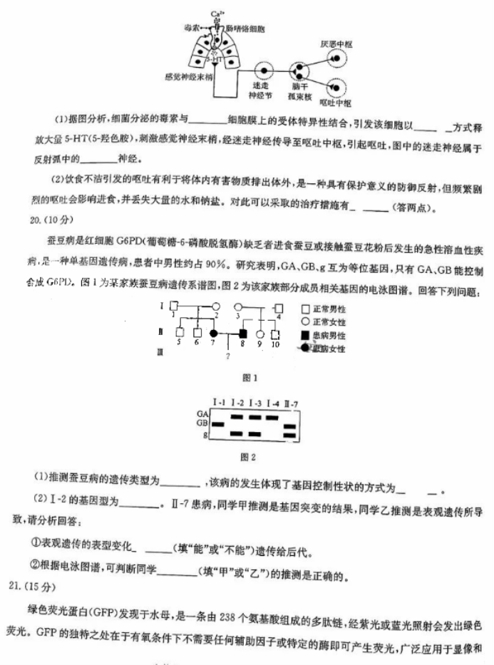 华大新高***2024高三11月测评生物试题及答案(新高考)