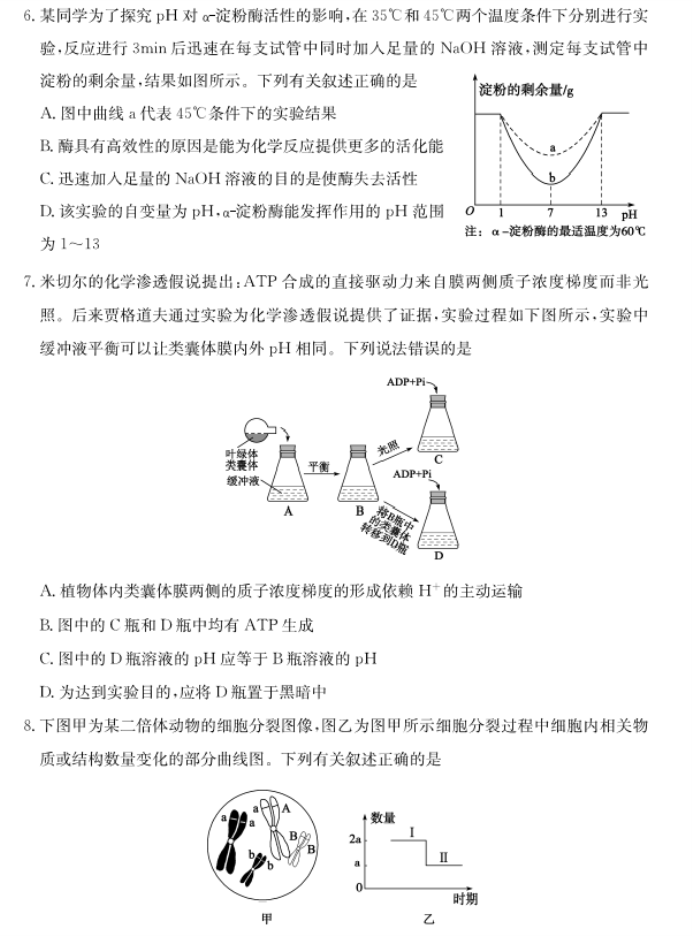 山东德州优高联考2024高三11月期中考生物试题及答案解析