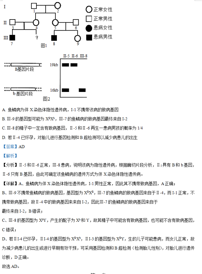 湖南省邵阳武冈市2024高三11月期中考生物试题及答案解析