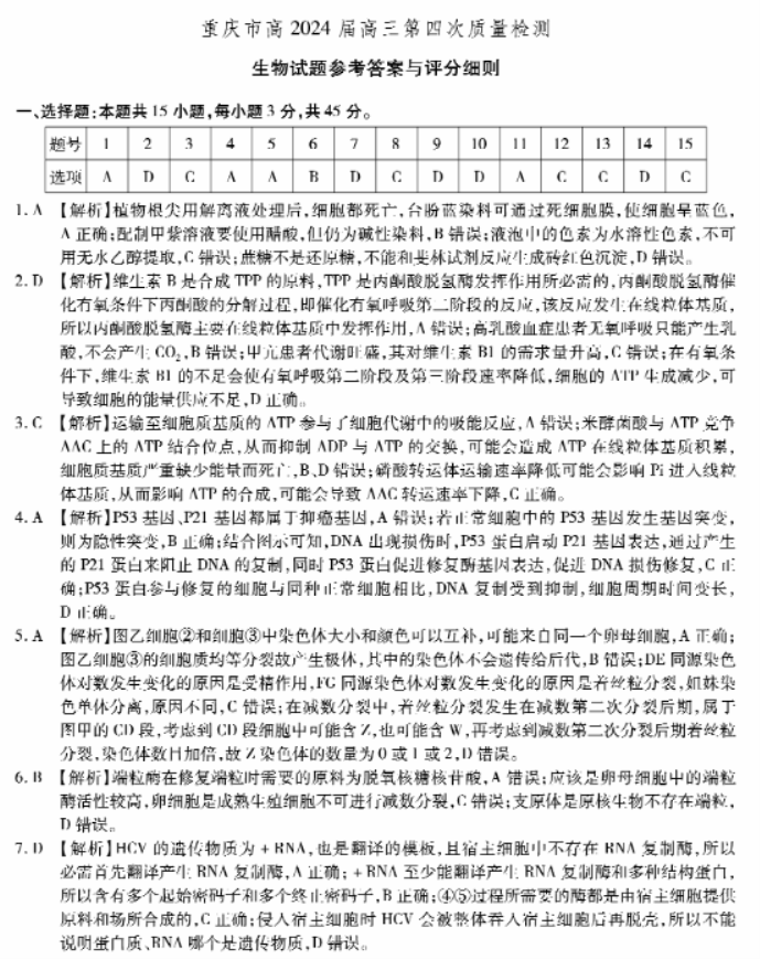 重庆市2024高三第四次质量检测生物试题及答案解析