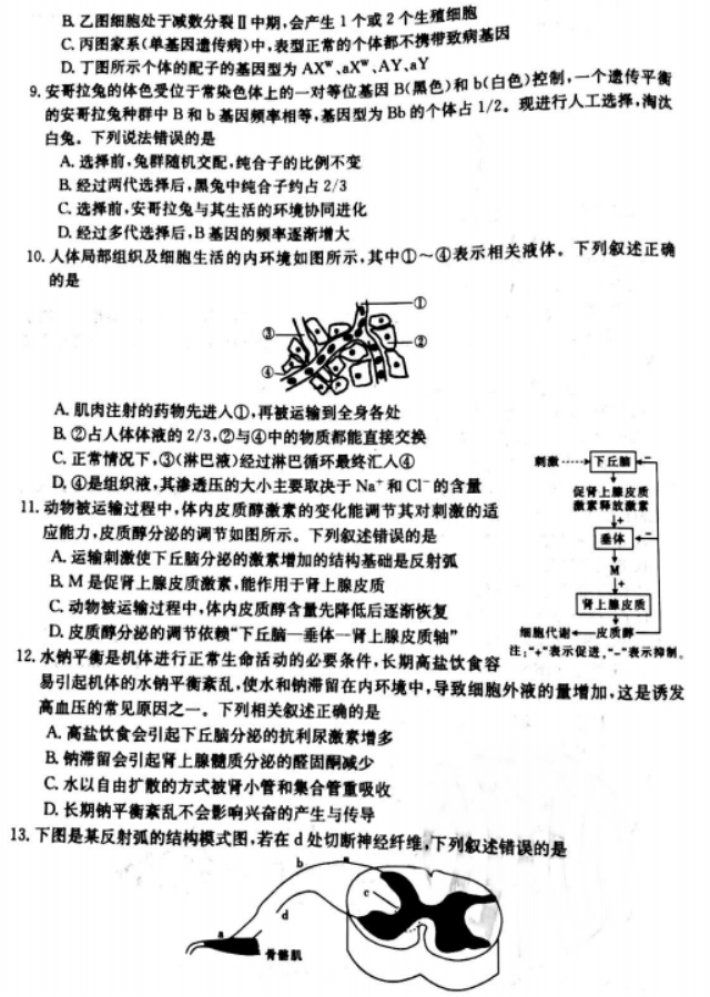 辽宁葫芦岛协作校2024高三第二次考试生物试题及答案解析