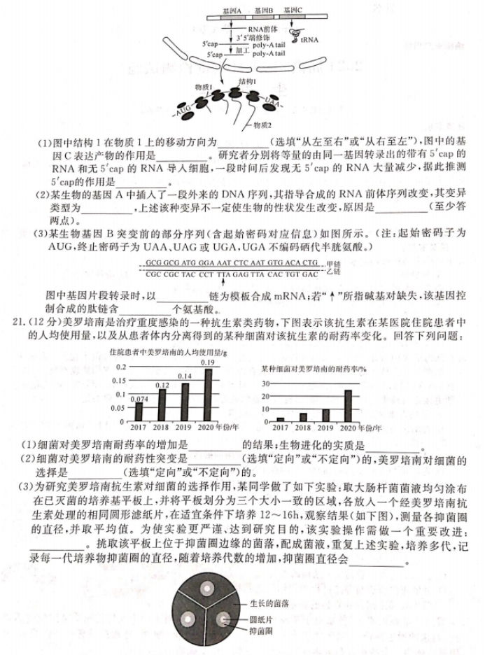 湖南衡阳市2024高三11月质量检测生物试题及答案解析