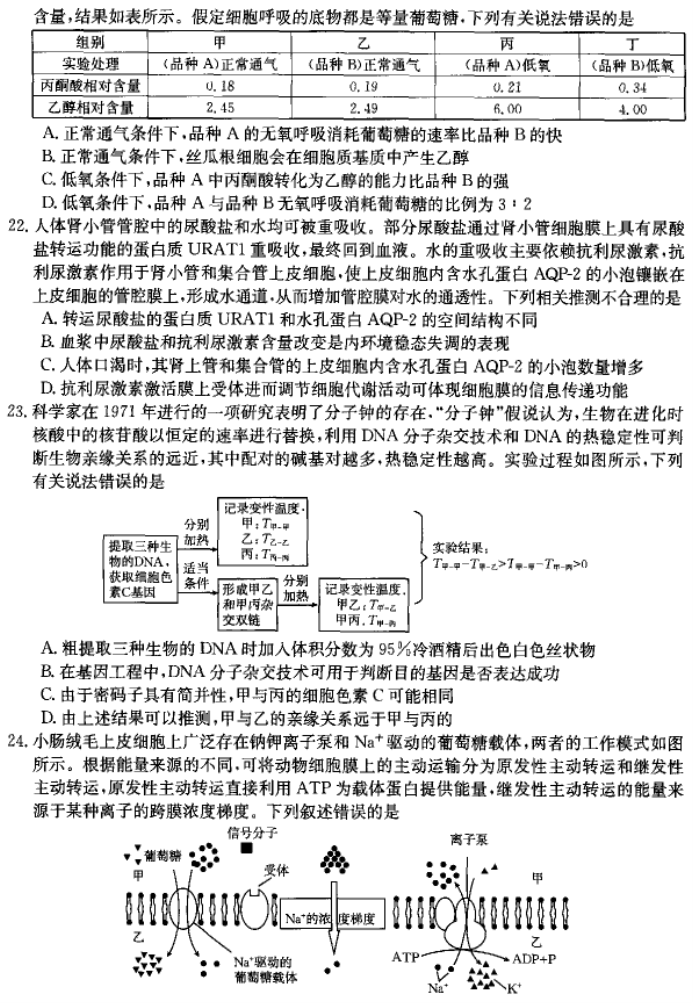 河南省许平汝名校2024高三期中联考生物试题及答案解析