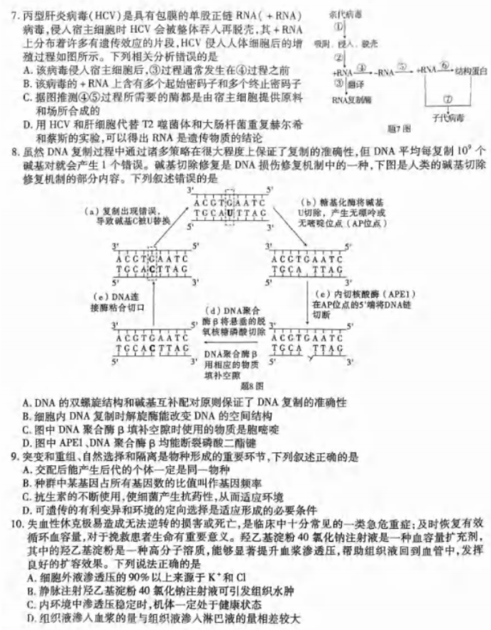 重庆市2024高三第四次质量检测生物试题及答案解析