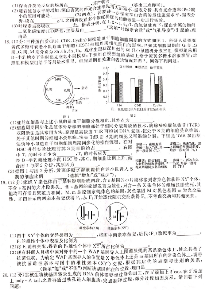 湖南衡阳市2024高三11月质量检测生物试题及答案解析