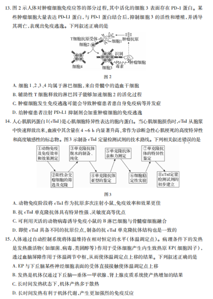 广东2024高三上学期11月统一调研测试生物试题及答案解析