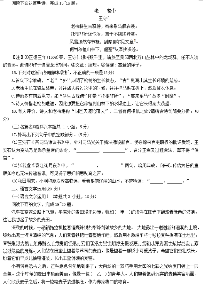 湖南衡阳市2024高三11月质量检测语文试题及答案解析