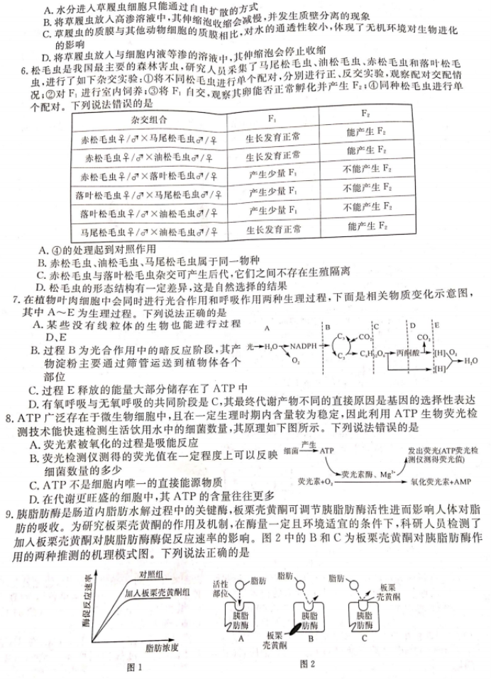 湖南衡阳市2024高三11月质量检测生物试题及答案解析