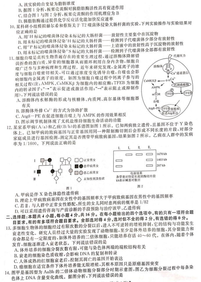 湖南衡阳市2024高三11月质量检测生物试题及答案解析