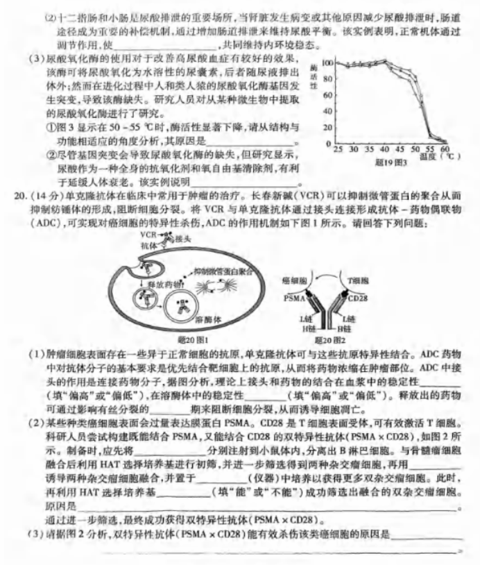 重庆市2024高三第四次质量检测生物试题及答案解析