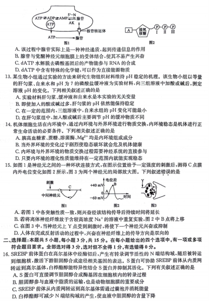 齐齐哈尔普高联谊校2024高三11月月考生物试题及答案解析