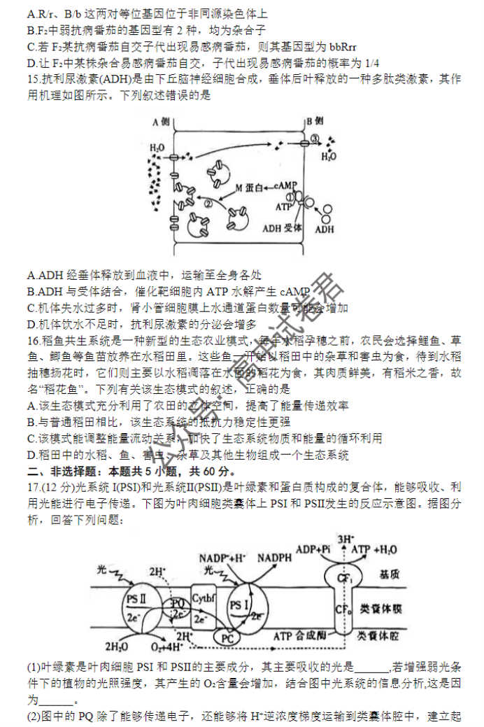 广西四市2024高三跨市联合适应性检测生物试题及答案解析