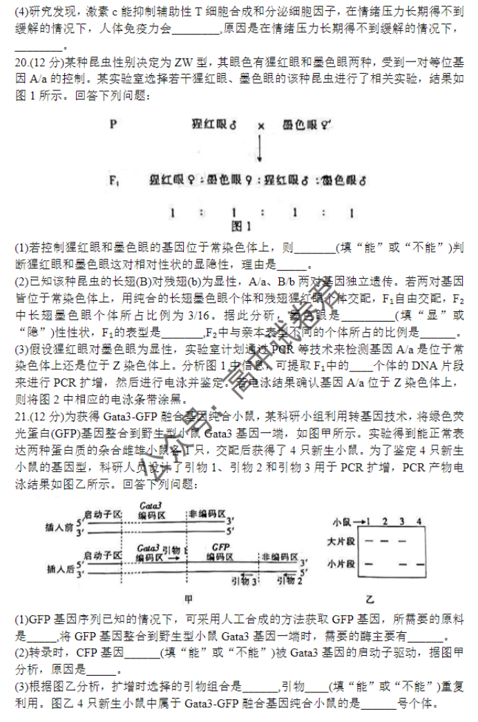 广西四市2024高三跨市联合适应性检测生物试题及答案解析