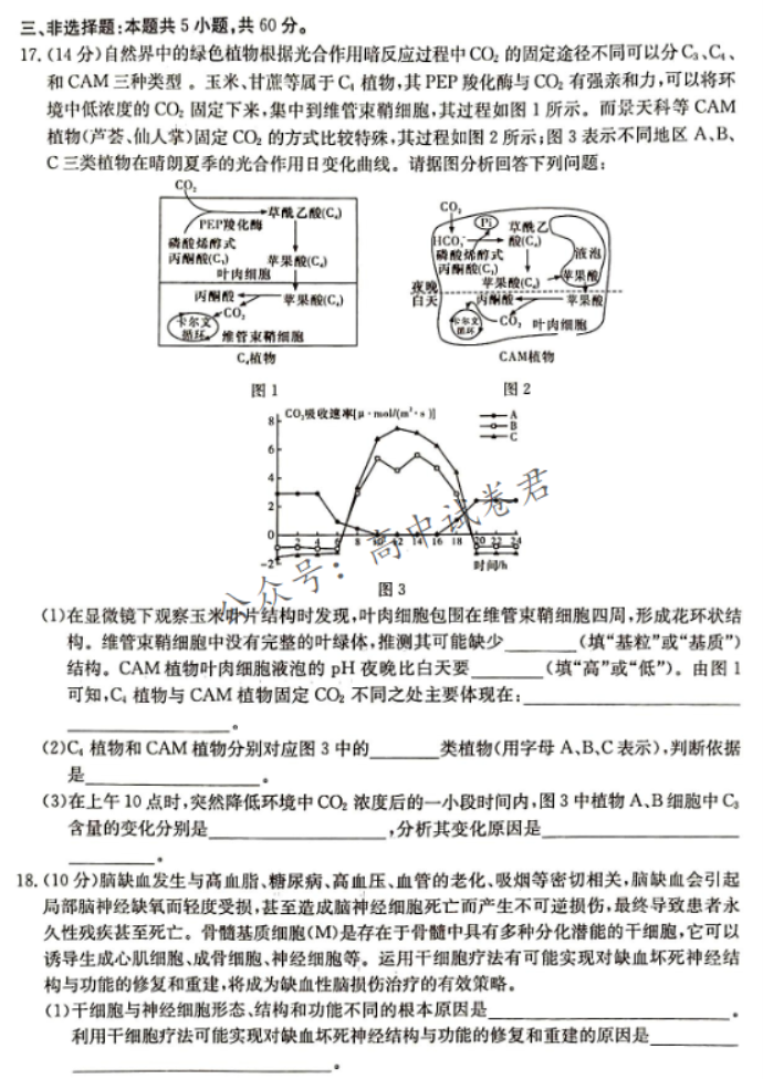 湖南湘东九校联盟2024高三第一次联考生物试题及答案解析