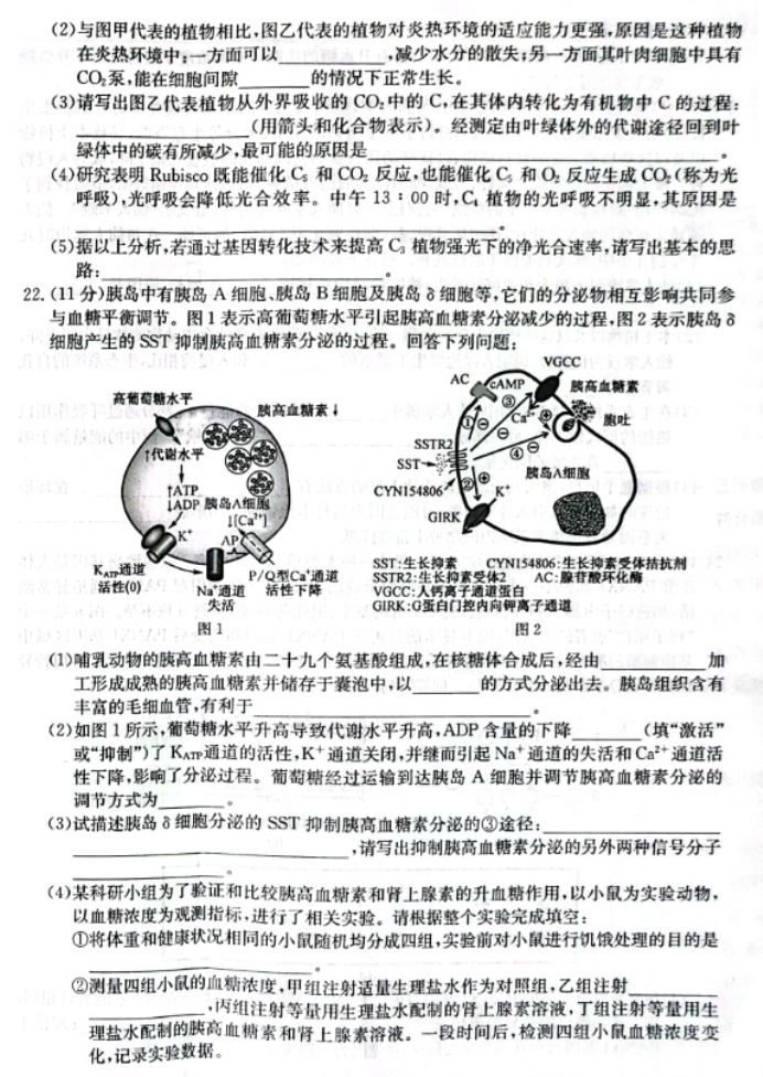 辽宁省部分学校2024高三12月联考生物试题及答案解析