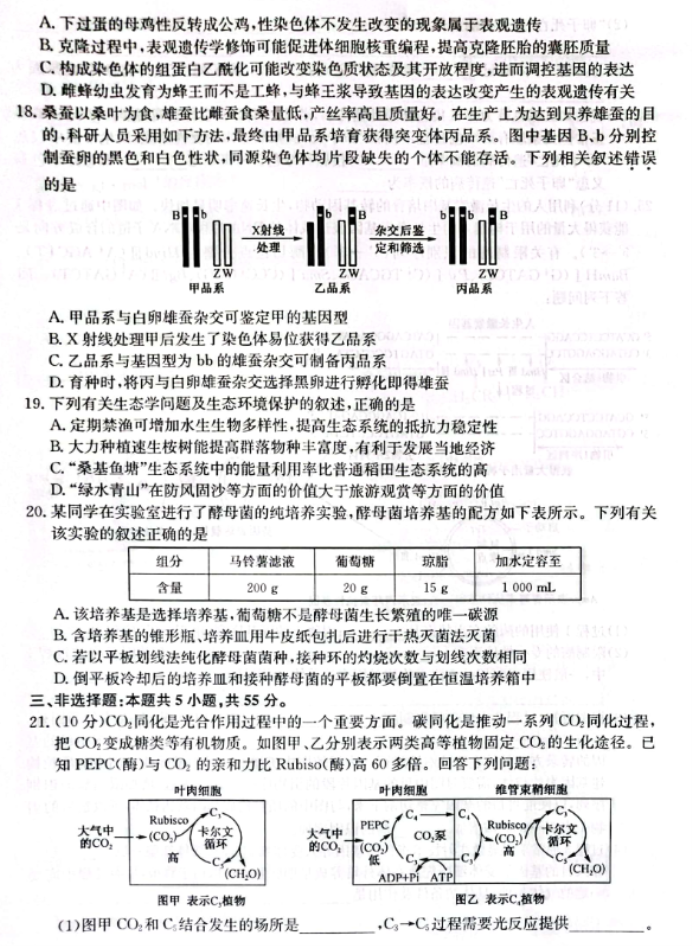 辽宁省部分学校2024高三12月联考生物试题及答案解析