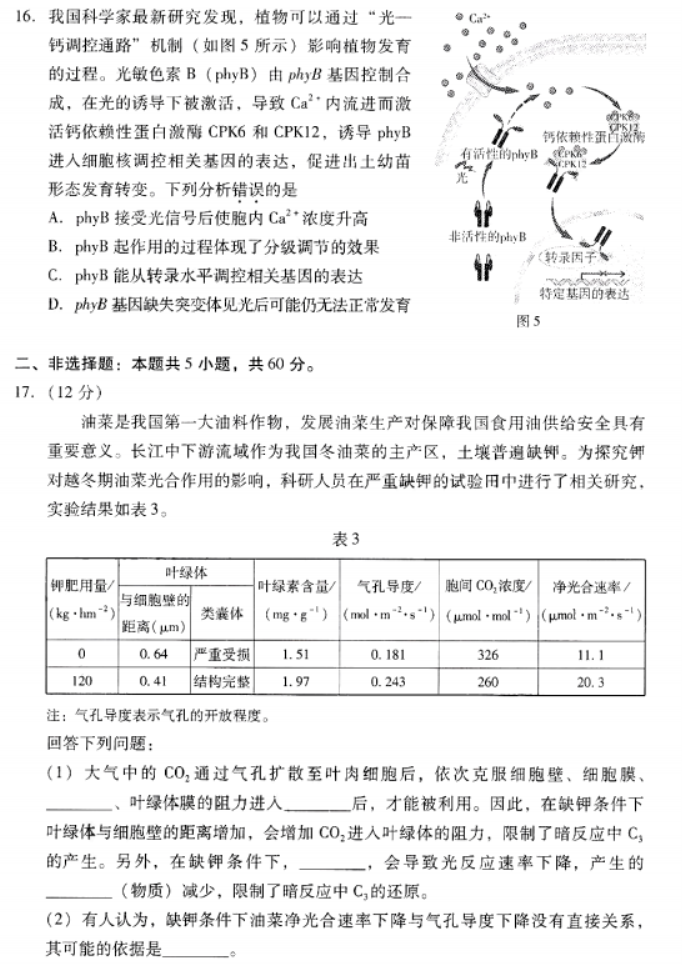 广东粤光联考2024高三第二次调研考试生物试题及答案解析